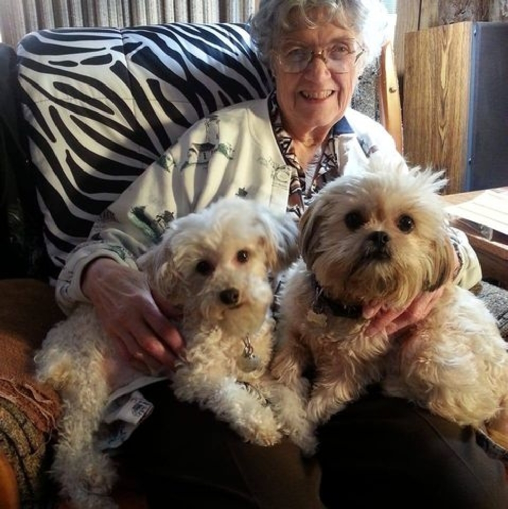 Meet your Posher, Cindy